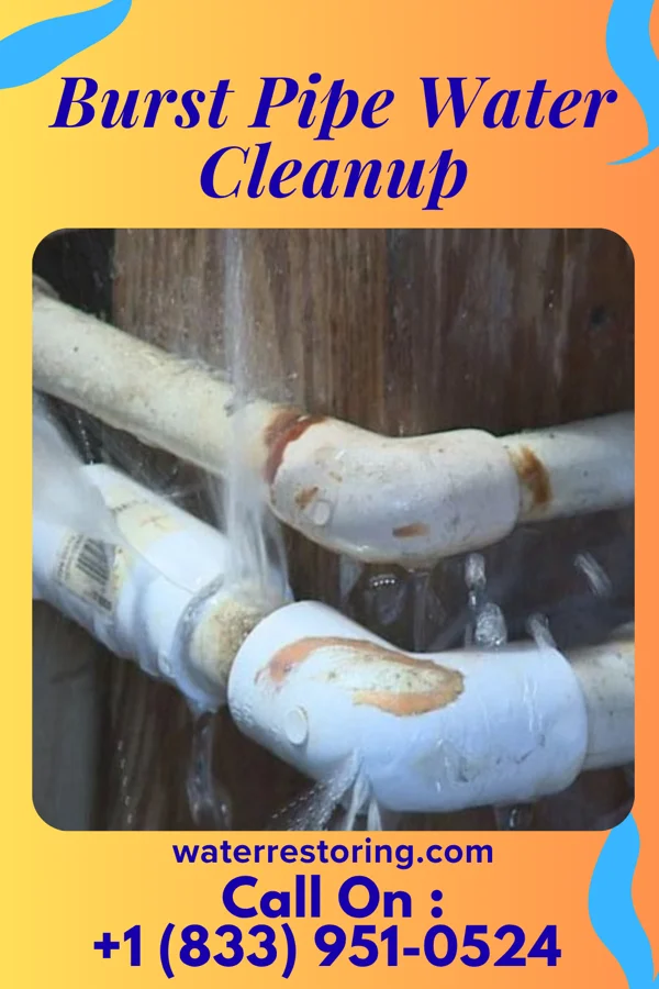 Burst Pipe Water Cleanup in Union City, IN