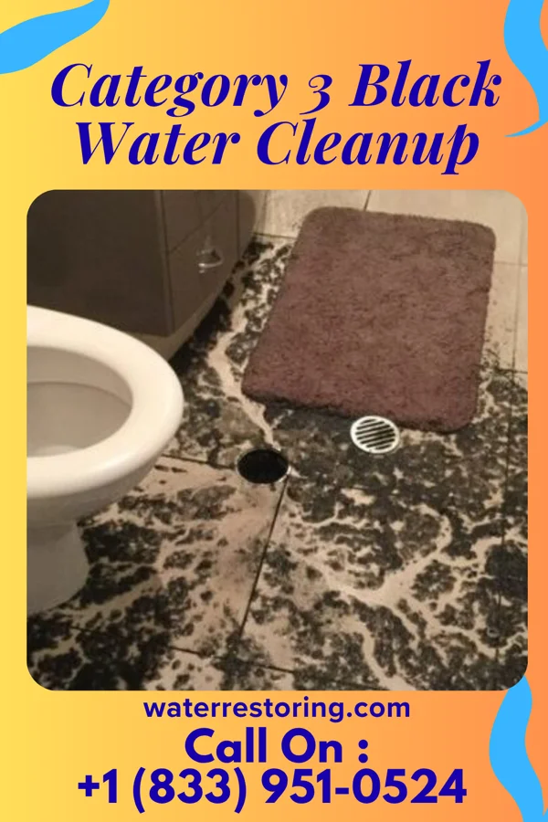 Category 3 Black Water Cleanup in Union City, IN