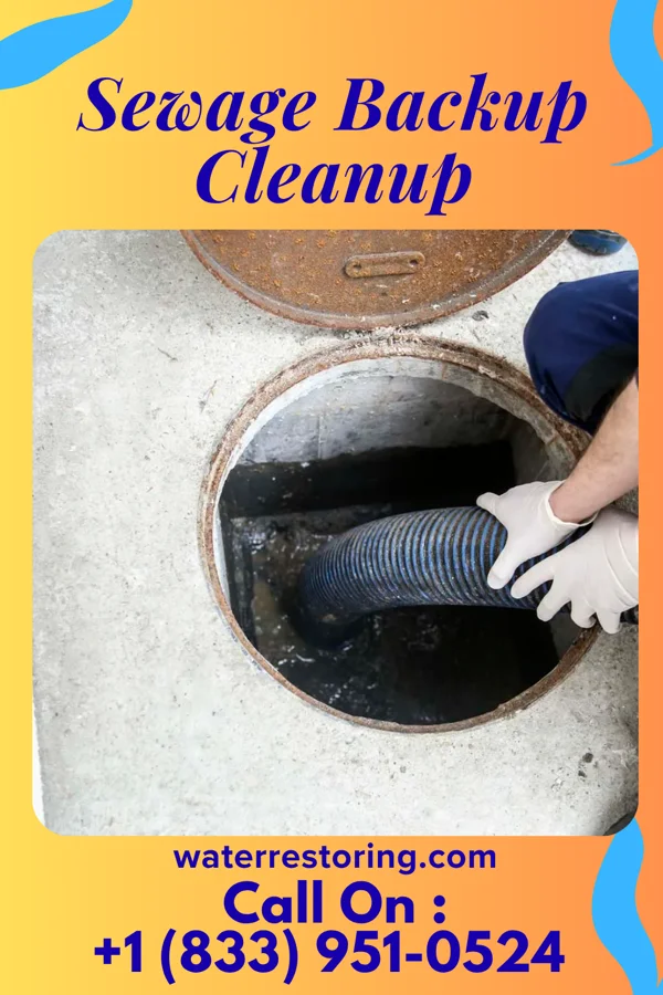 Sewage Backup Cleanup in Union City, IN
